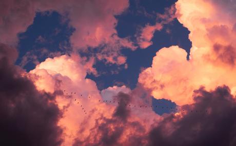What Nonprofits Should Expect When Migrating from NGO Connect to NPSP