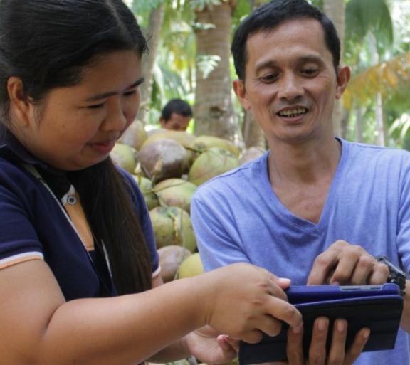 people looking at fruit